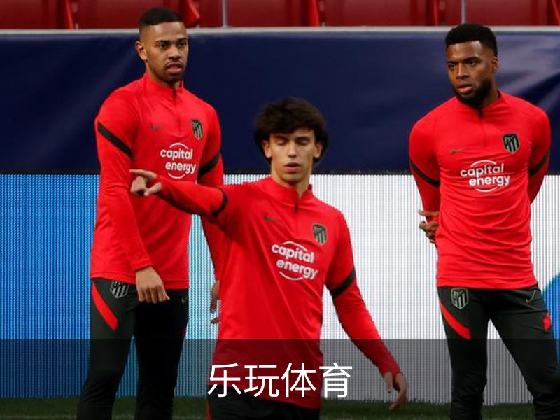 乐玩体育概况